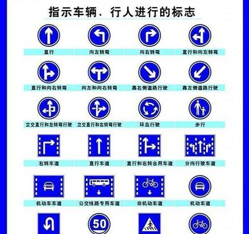 年轻人刚学会 开车 ,安全问题如何避免 这篇文章来给你答案